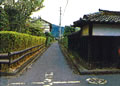 土居廓中写真